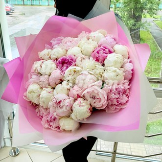 39 светло-розовых и белых пионов