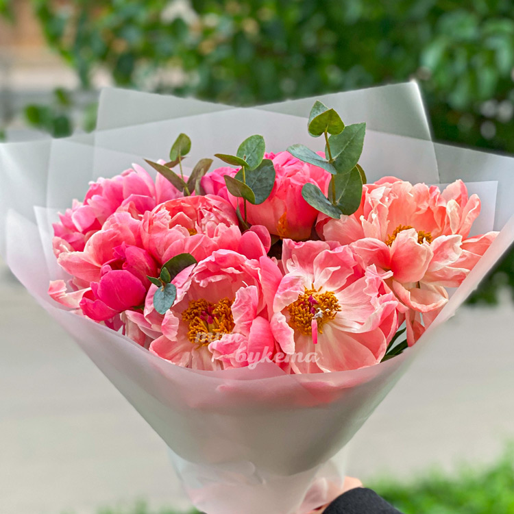 Букет из пышных пионов (крупный план)