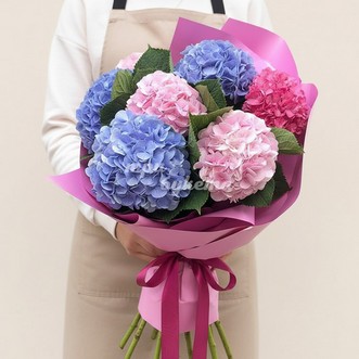 Букет из 7 разноцветных гортензий Букет из 7 разноцветных гортензий
