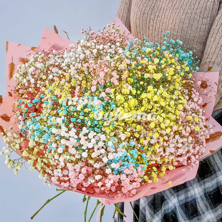 Букет из 25 веток цветных гипсофил (букет в руках)