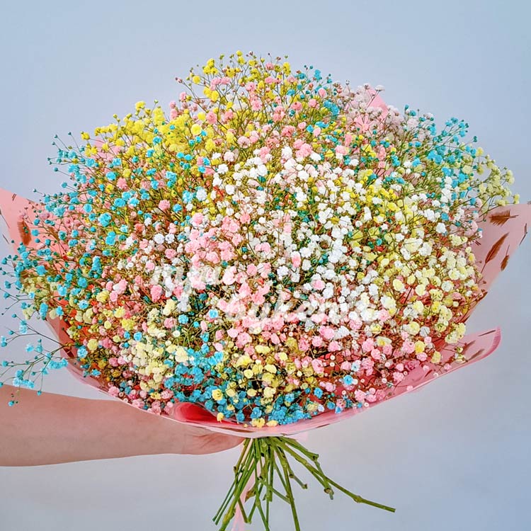 Букет из 25 веток цветных гипсофил